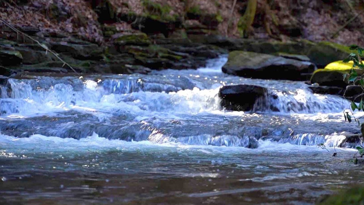 Photo of Outdoor in Monteagle