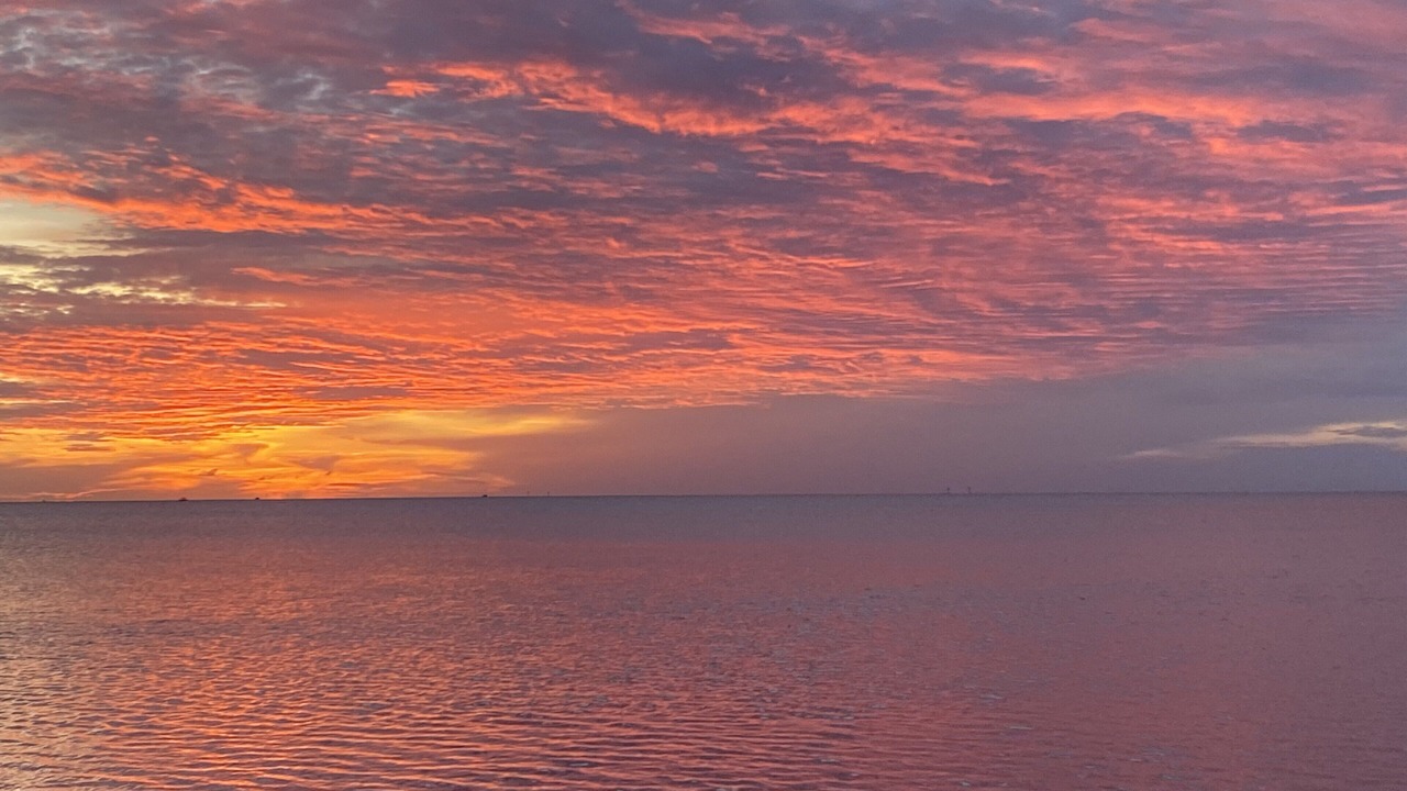 Photo of Others in Gulf Harbors