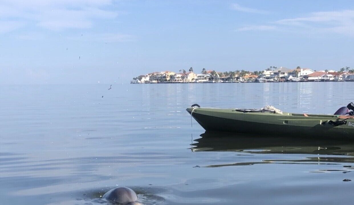 Photo of Outdoor in Gulf Harbors