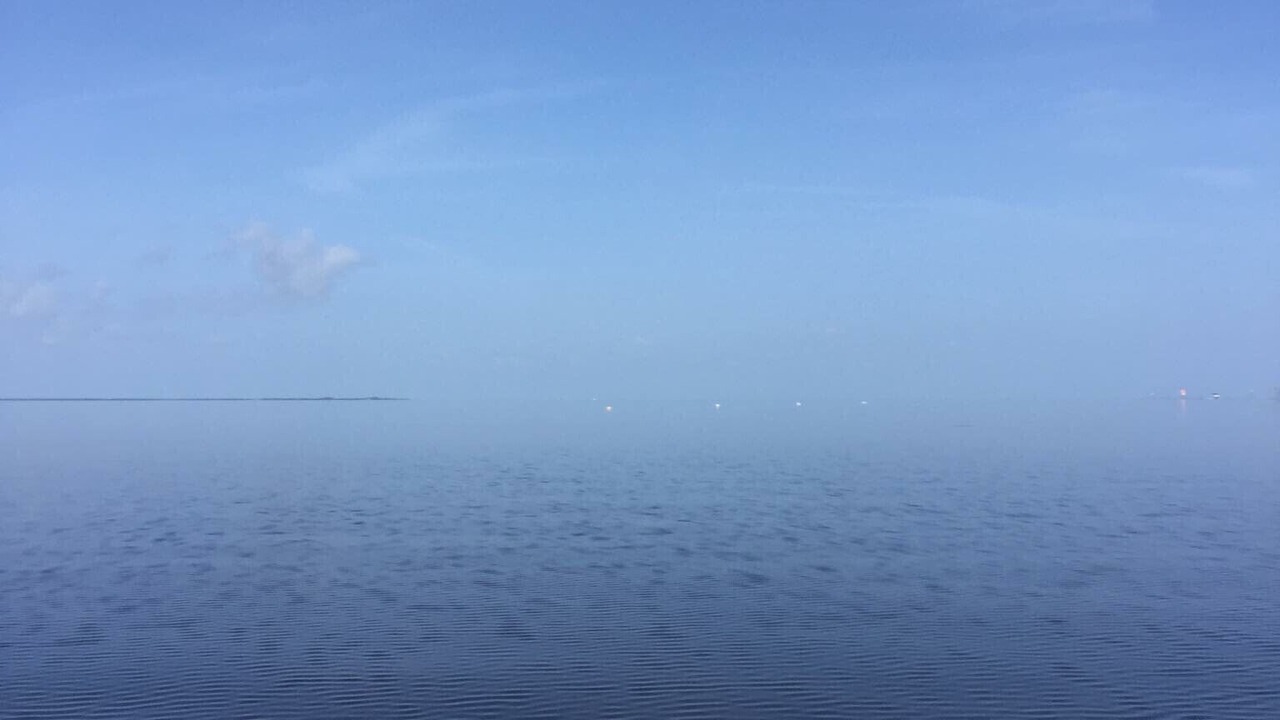 Photo of Others in Gulf Harbors