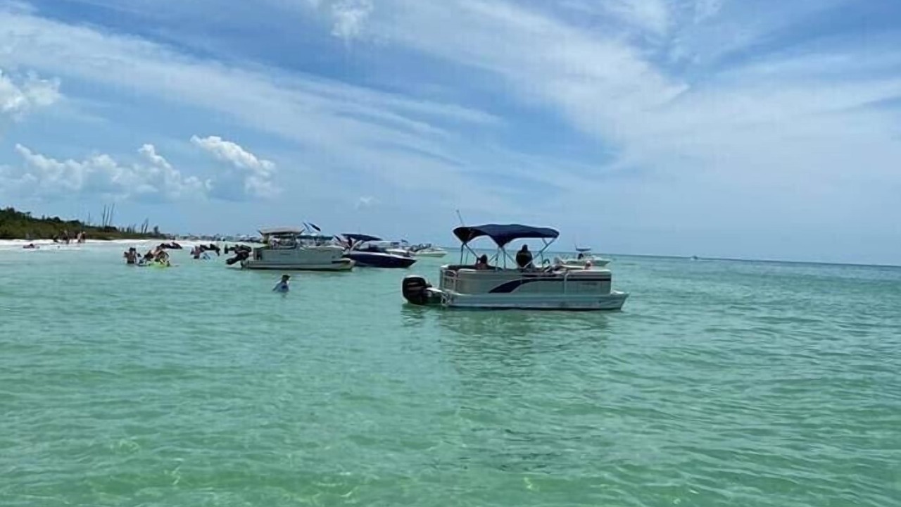 Photo of Others in Gulf Harbors