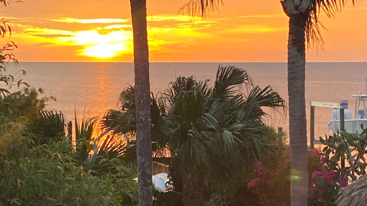 Photo of Outdoor in Gulf Harbors