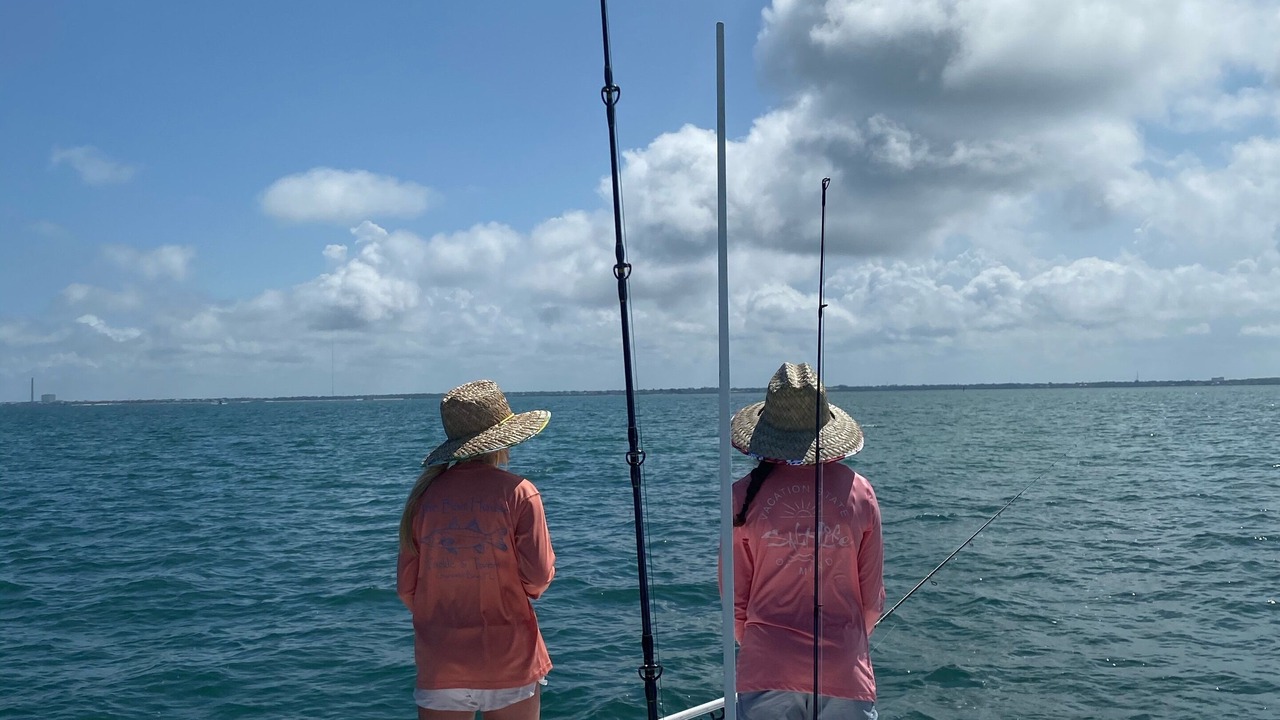 Photo of Others in Gulf Harbors
