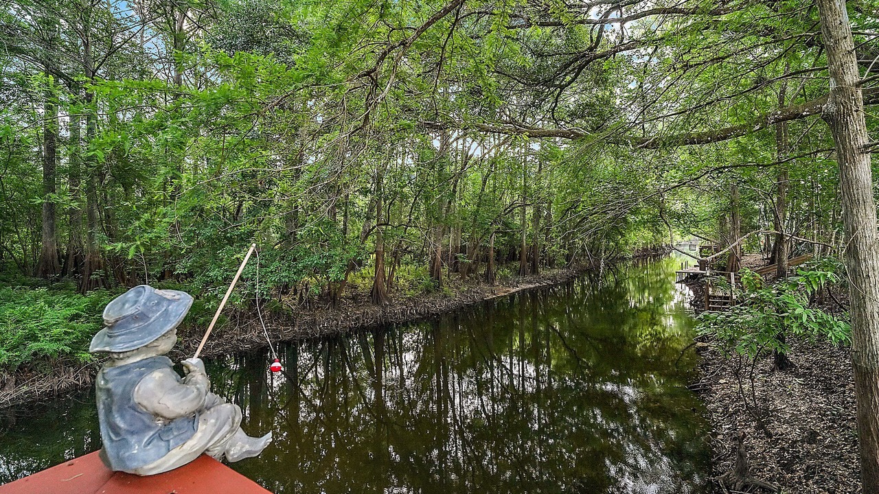 Photo of Others in Dunnellon