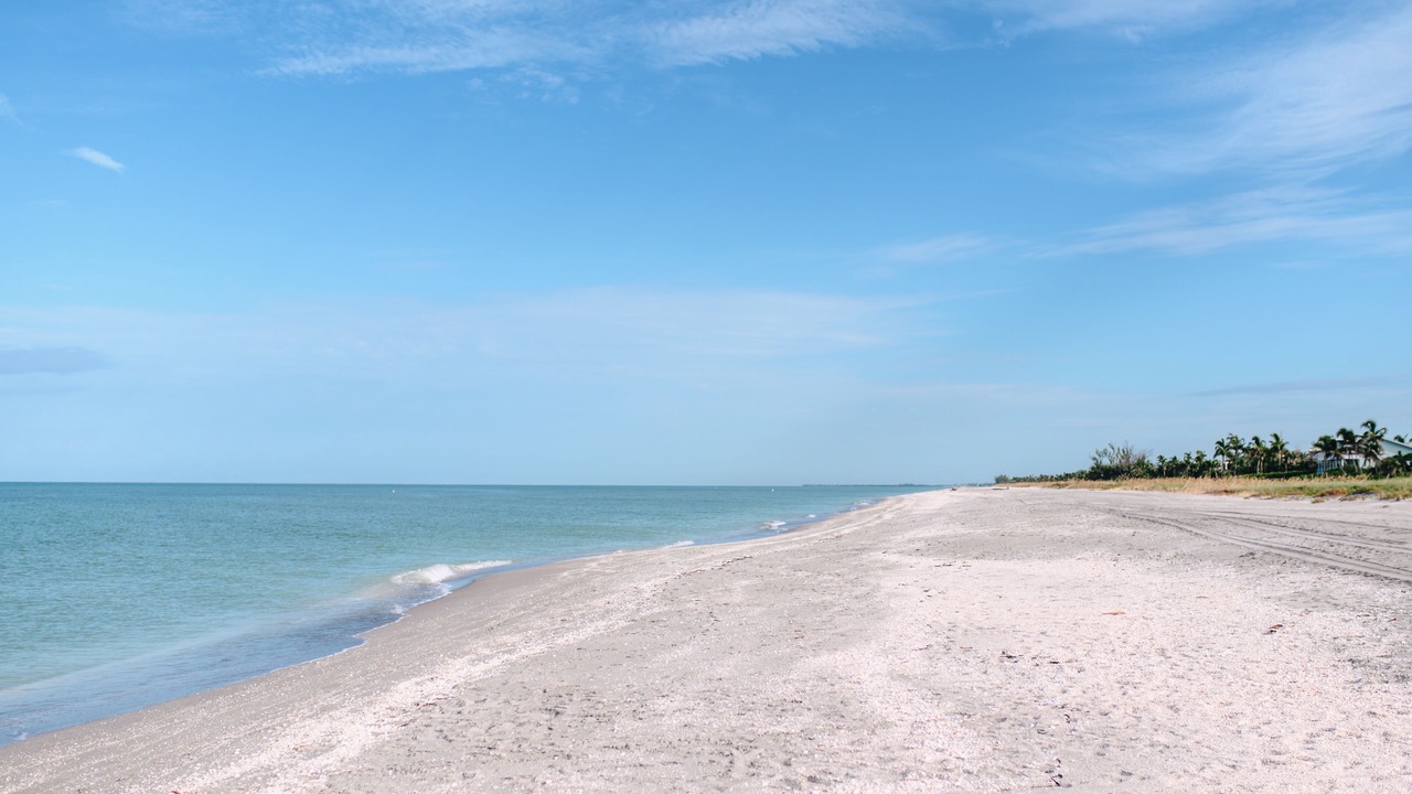 Photo of Others in Captiva