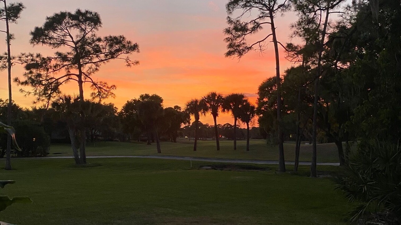 Photo of Outdoor in Braden River