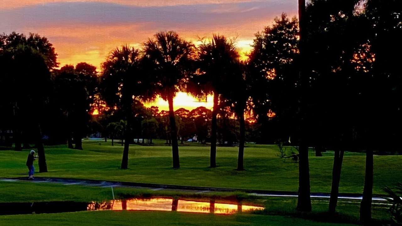Photo of Others in Braden River
