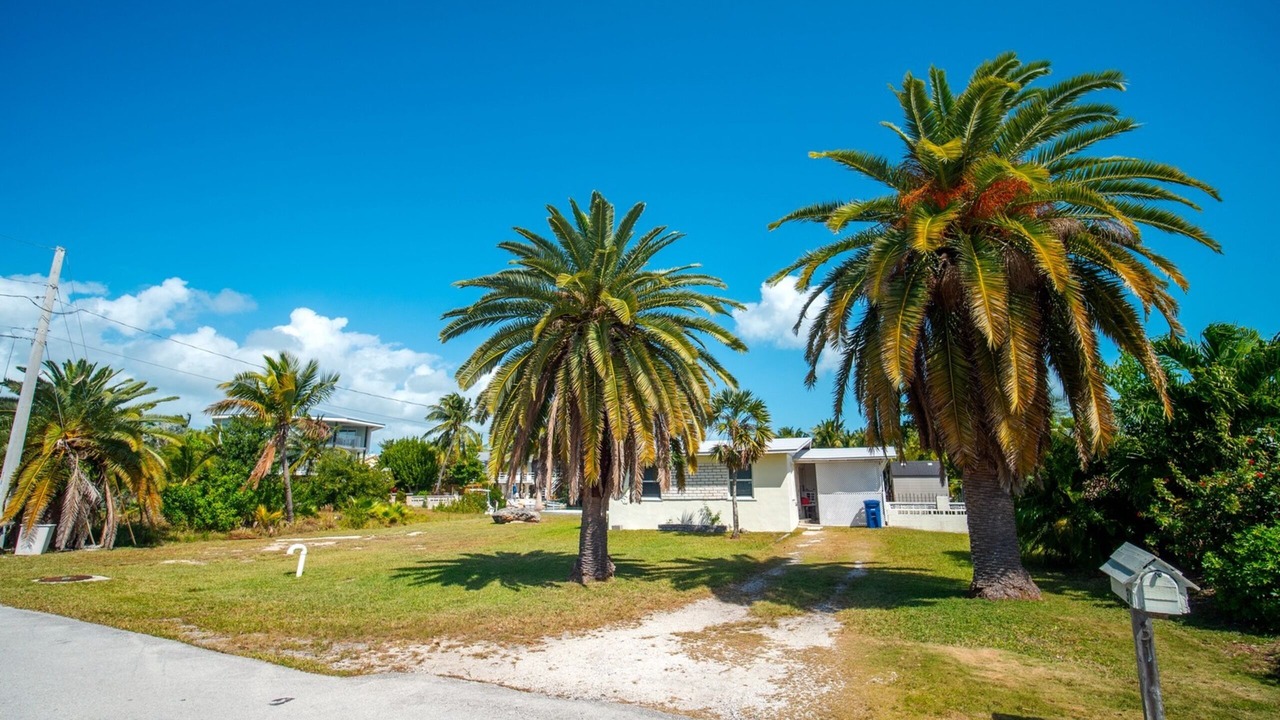 Photo of Outdoor in Bay Point