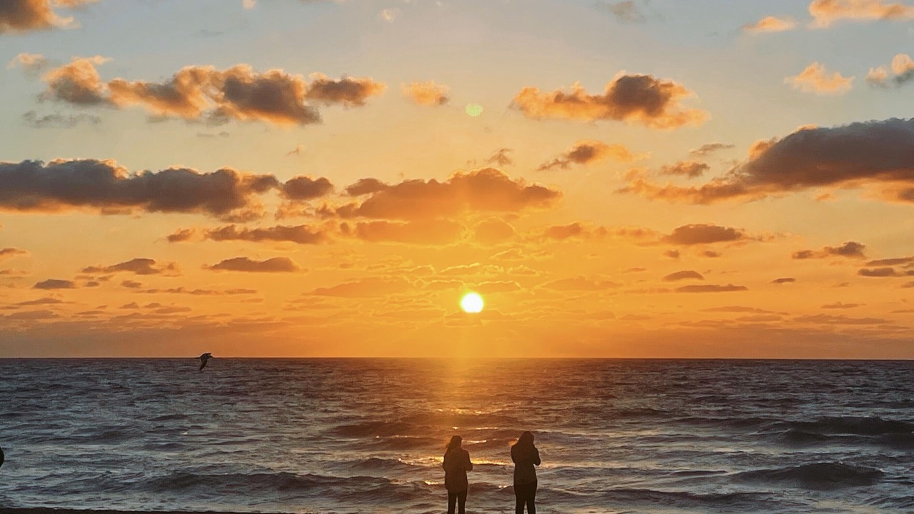 Photo of Others in Downtown West Palm Beach