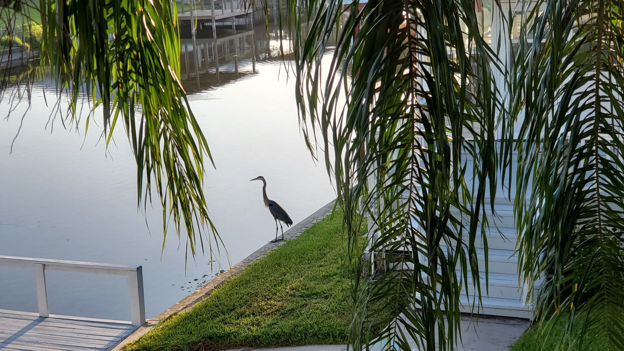 Photo of Others in Taylor Creek
