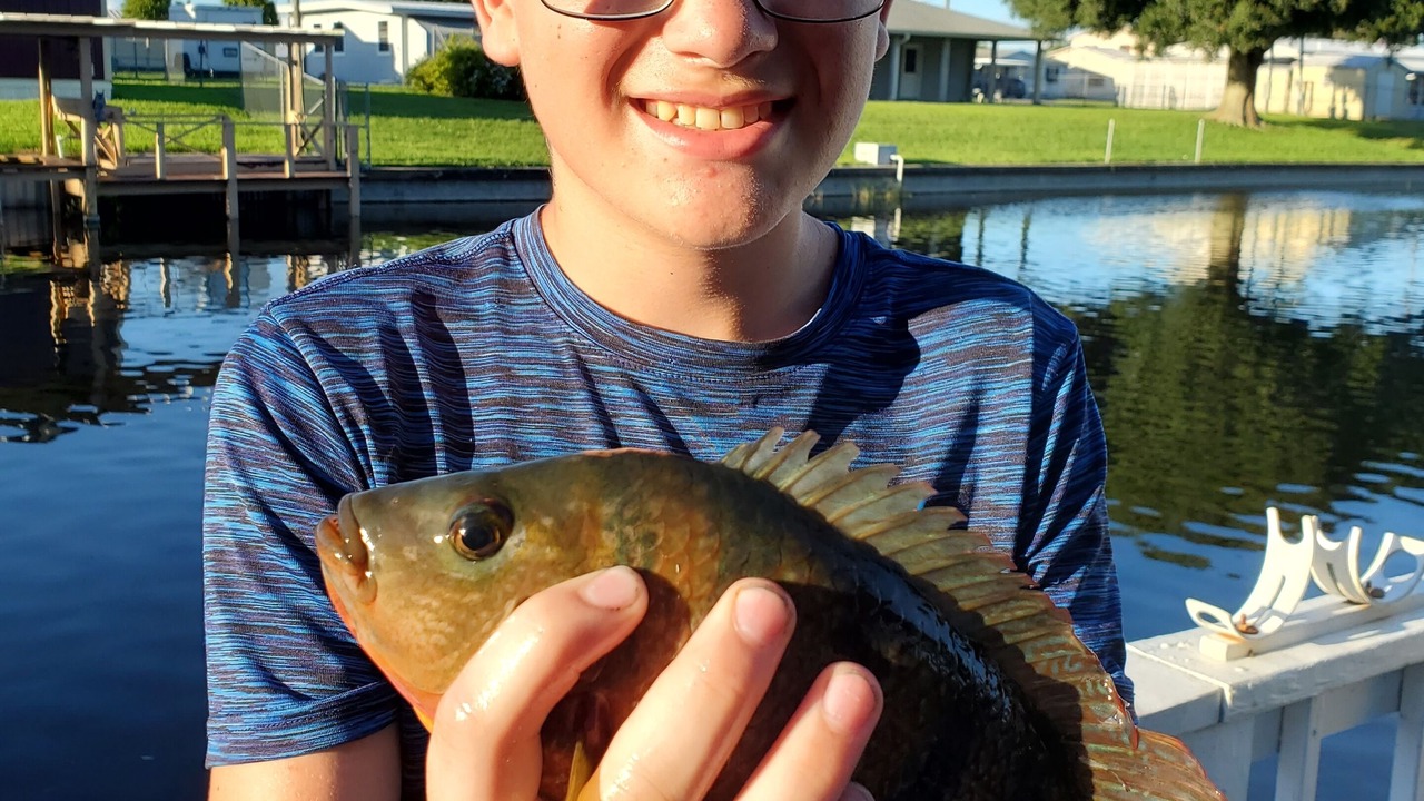 Photo of Others in Taylor Creek