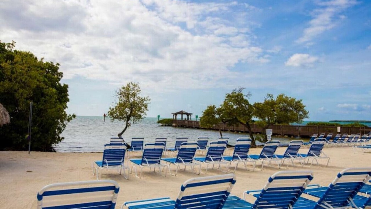 Photo of Others in Tavernier