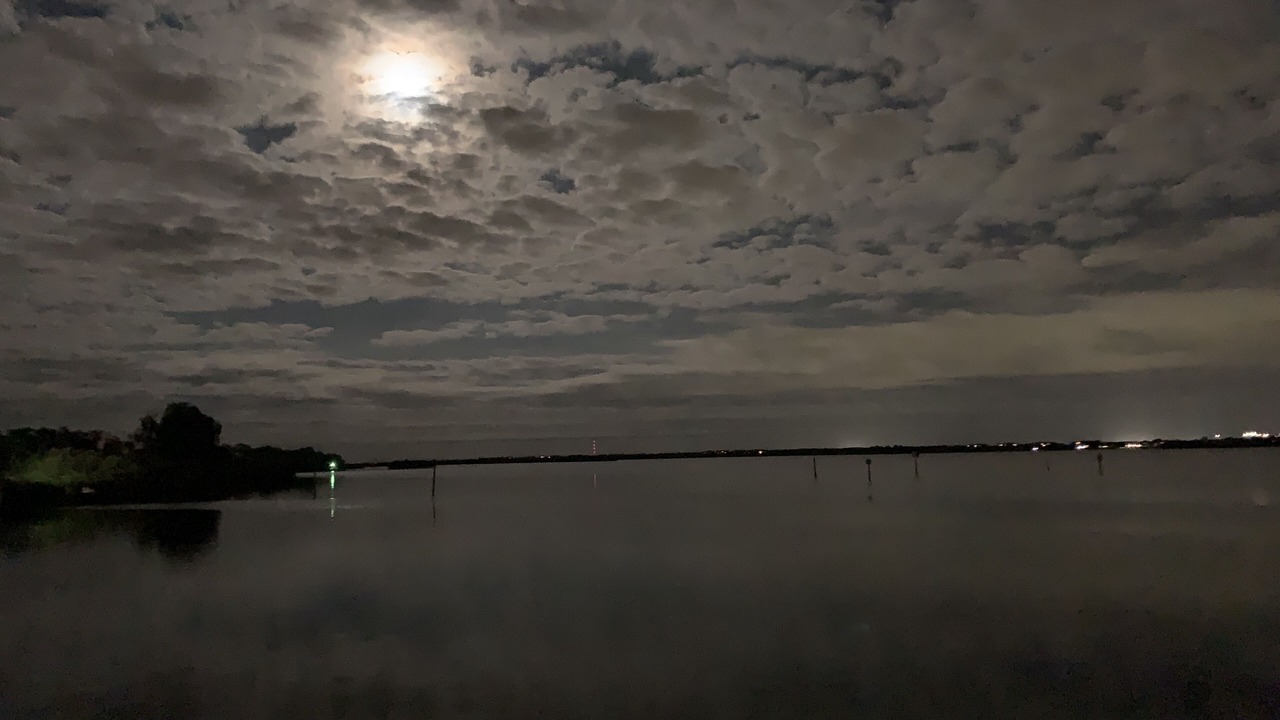 Photo of Outdoor in Ellenton