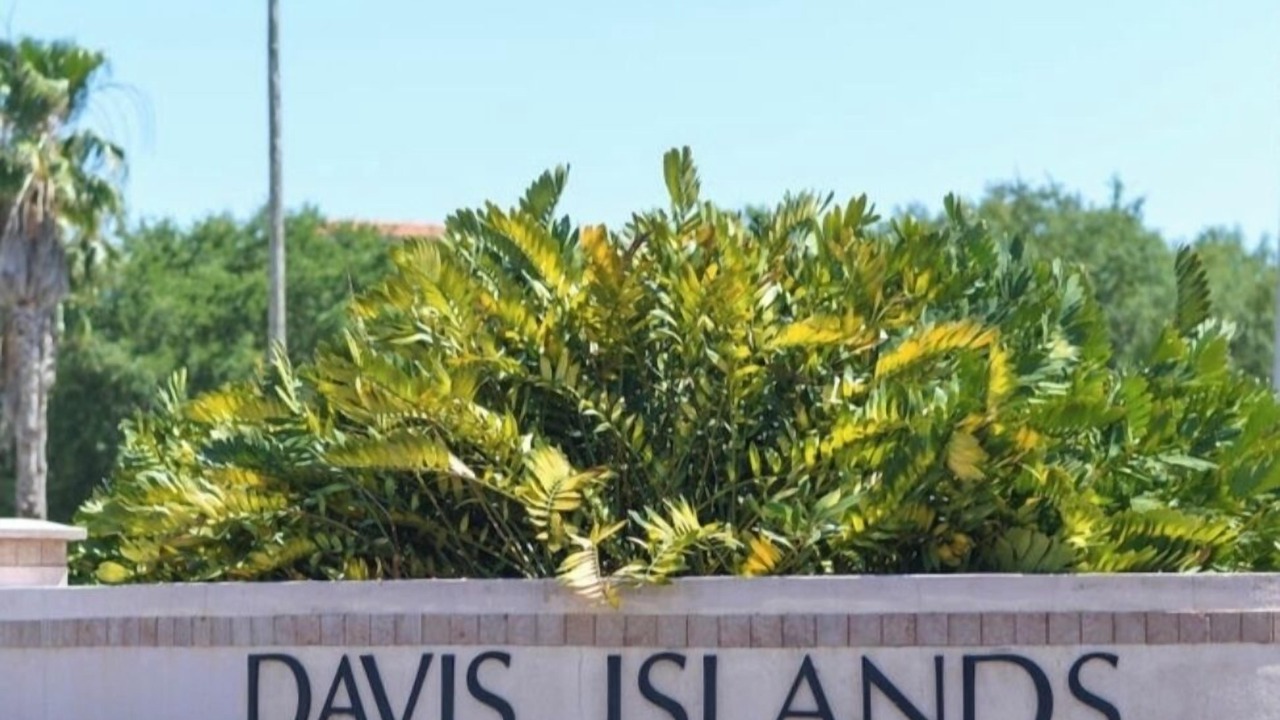 Photo of Others in Davis Islands