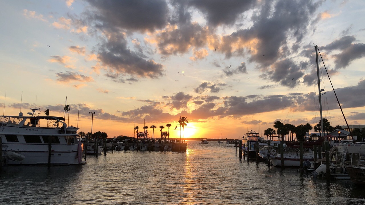 Photo of Others in Clearwater
