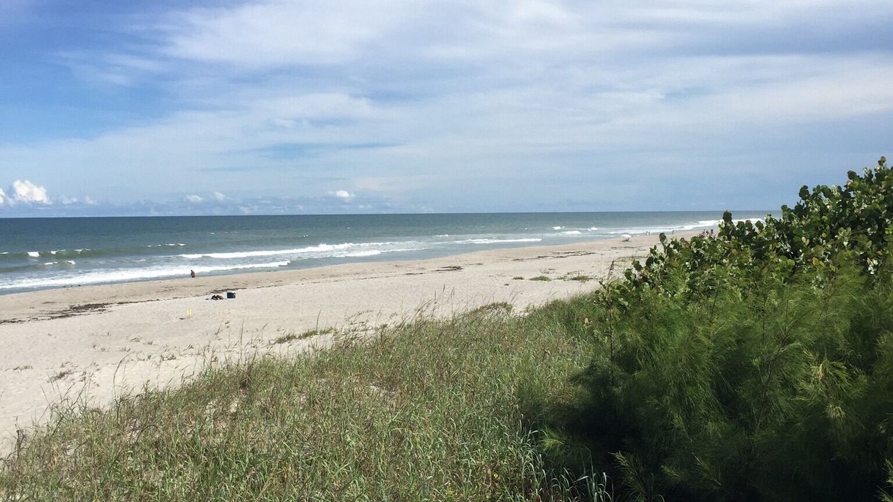 Photo of Others in Indialantic By The Sea
