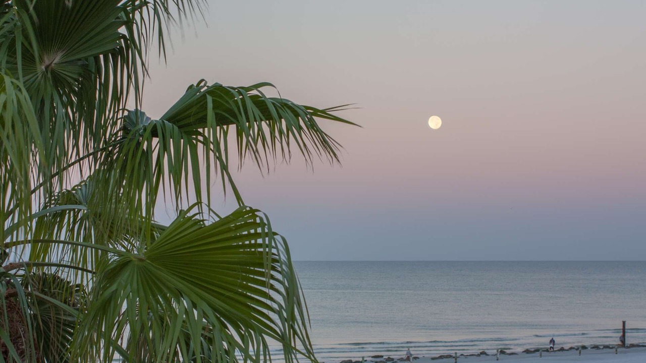 Photo of Others in Redington Beach