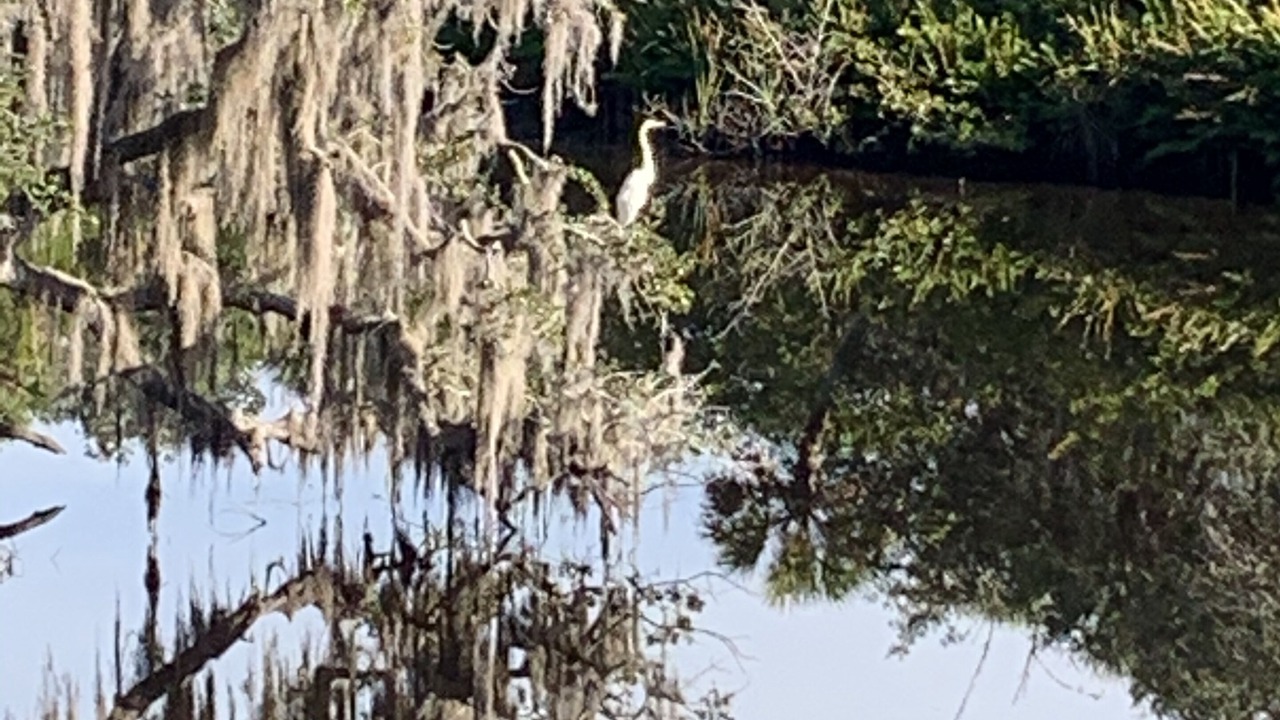 Photo of Others in Braden River