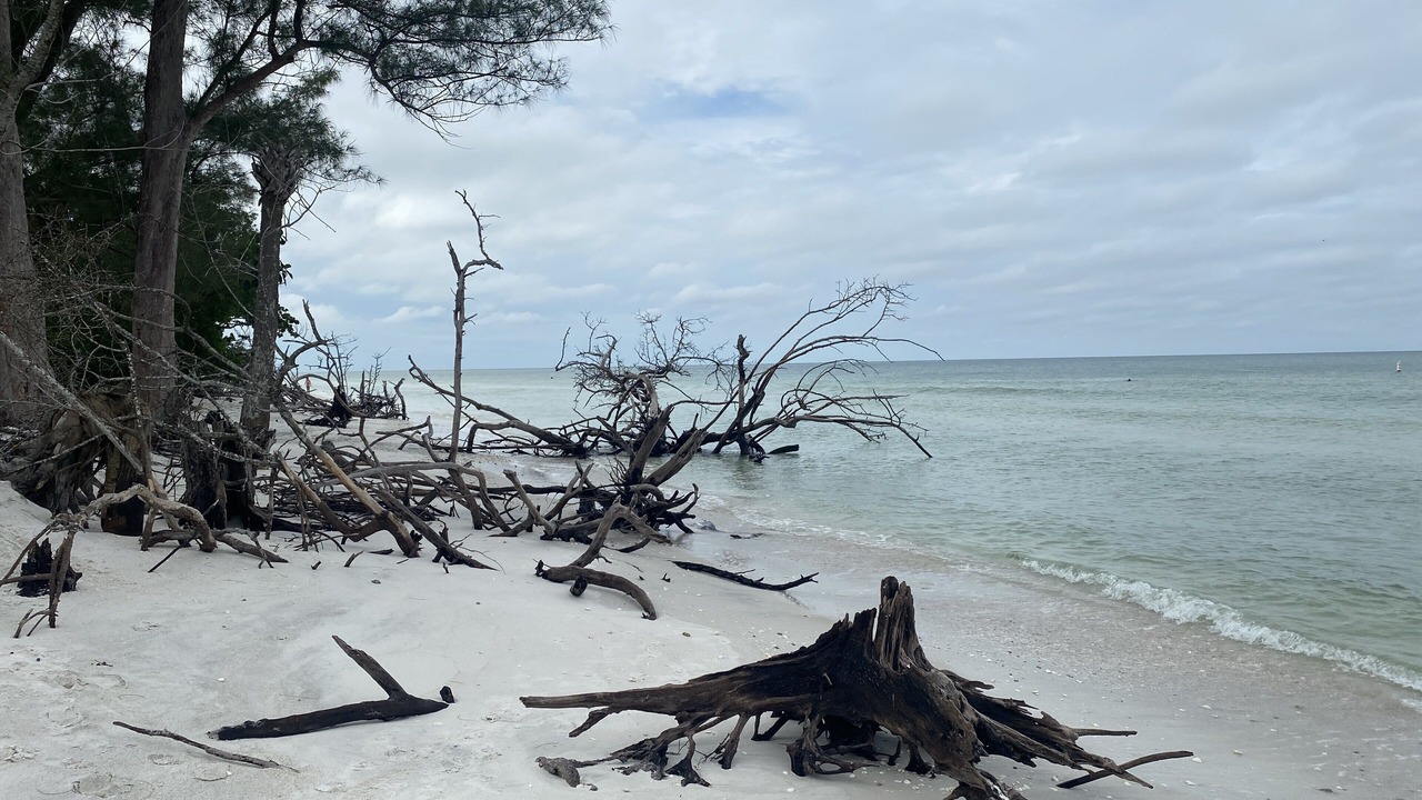 Photo of Others in Vanderbilt Beach