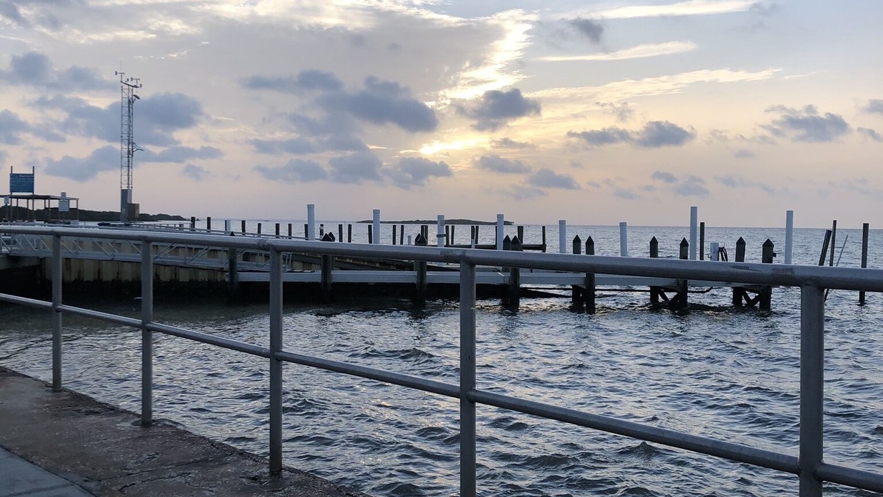 Photo of Others in Cedar Key