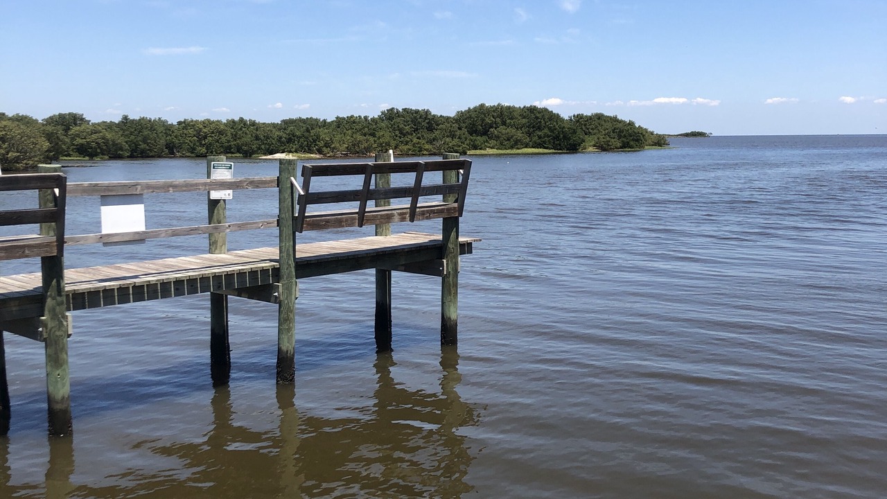 Photo of Outdoor in Cedar Key