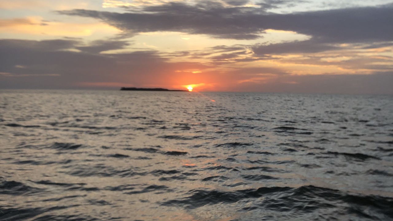 Photo of Others in Cedar Key