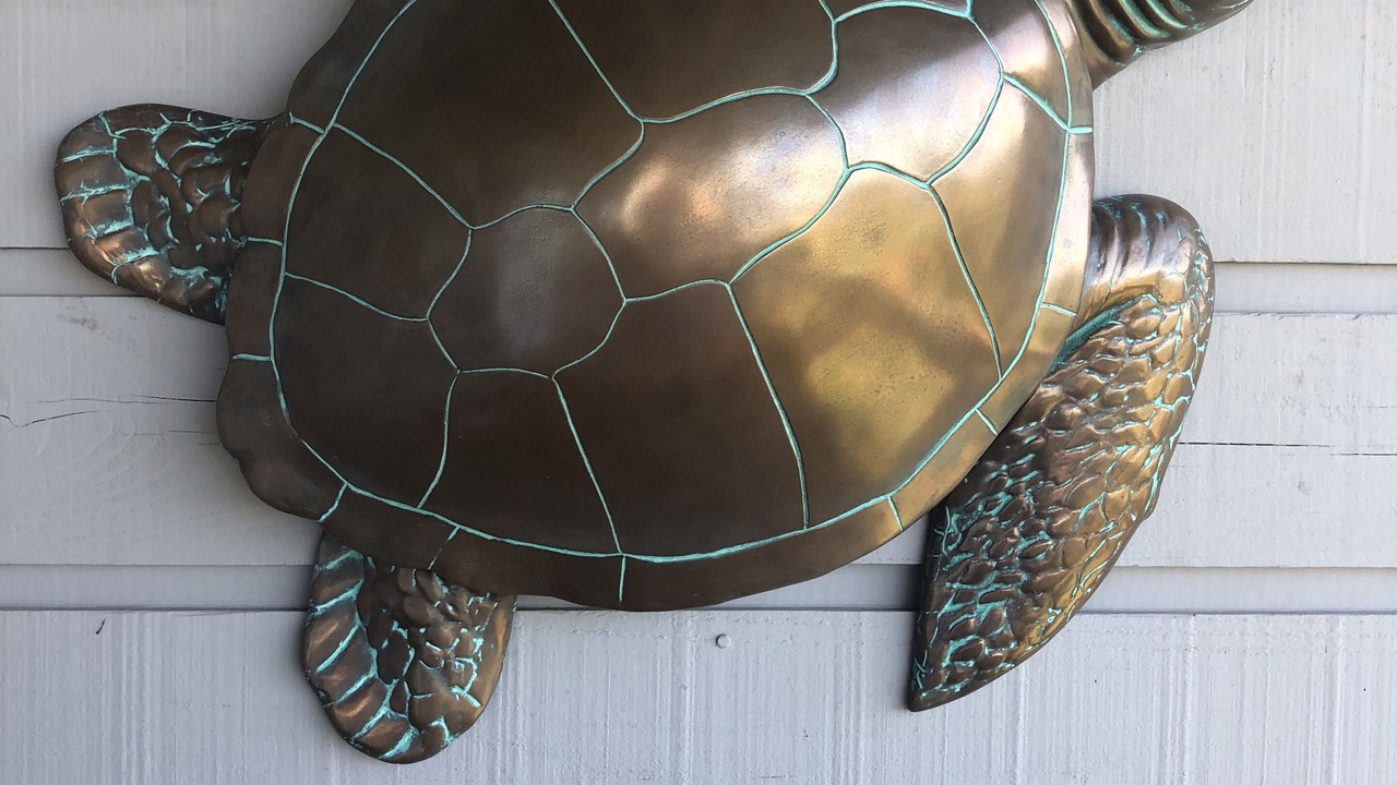 Photo of Others in Cedar Key