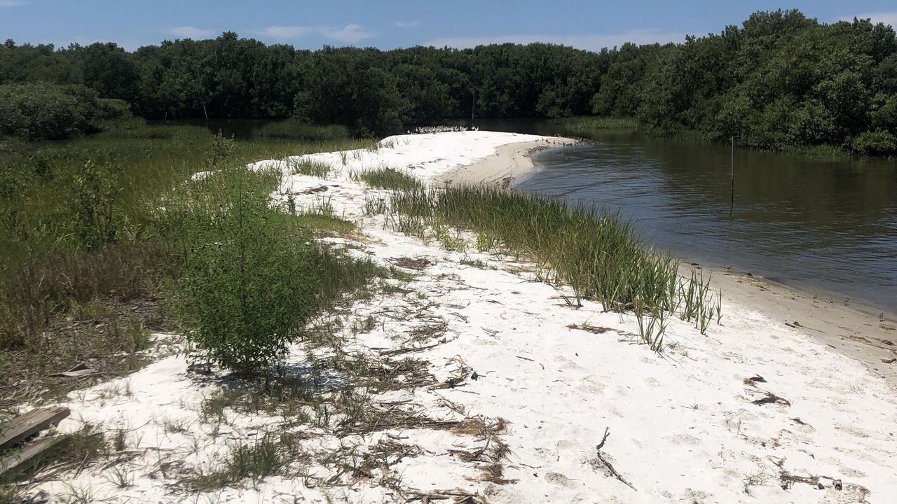 Photo of Outdoor in Cedar Key