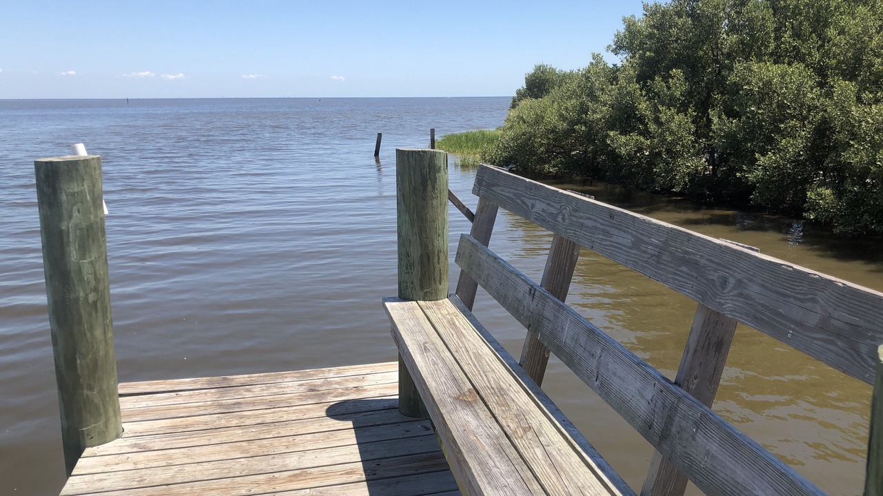 Photo of Outdoor in Cedar Key