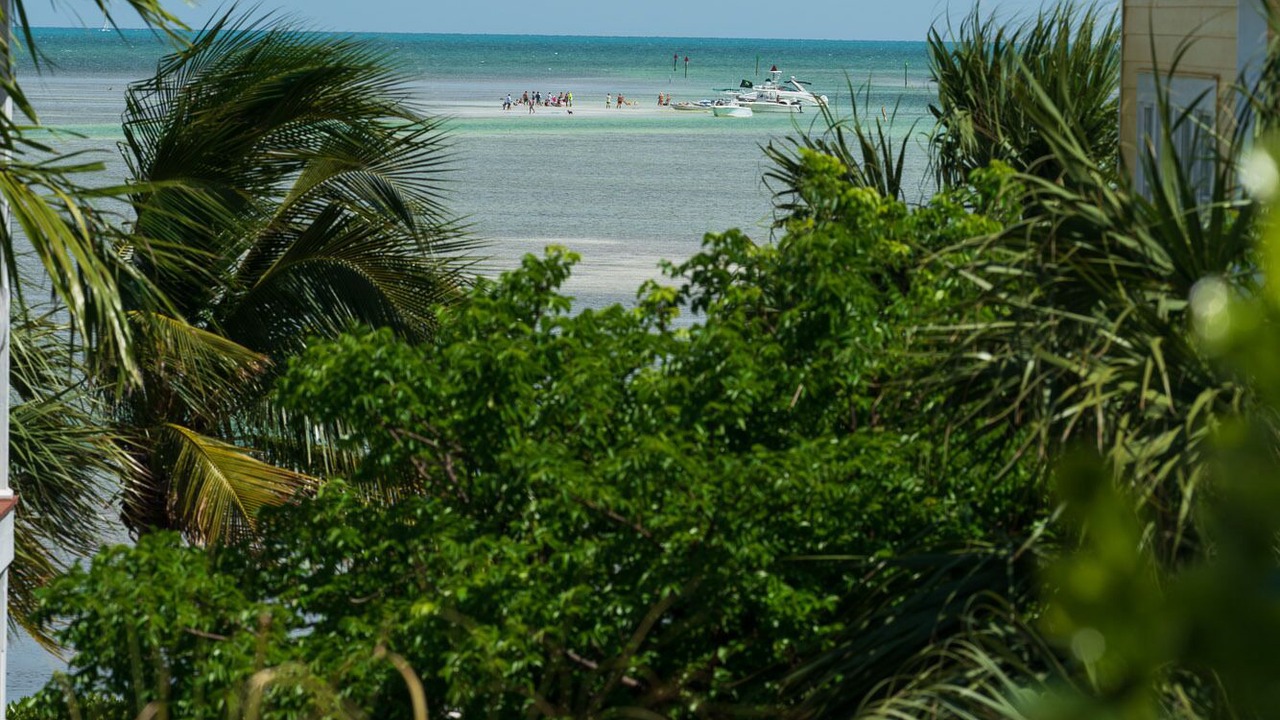 Photo of Others in Islamorada