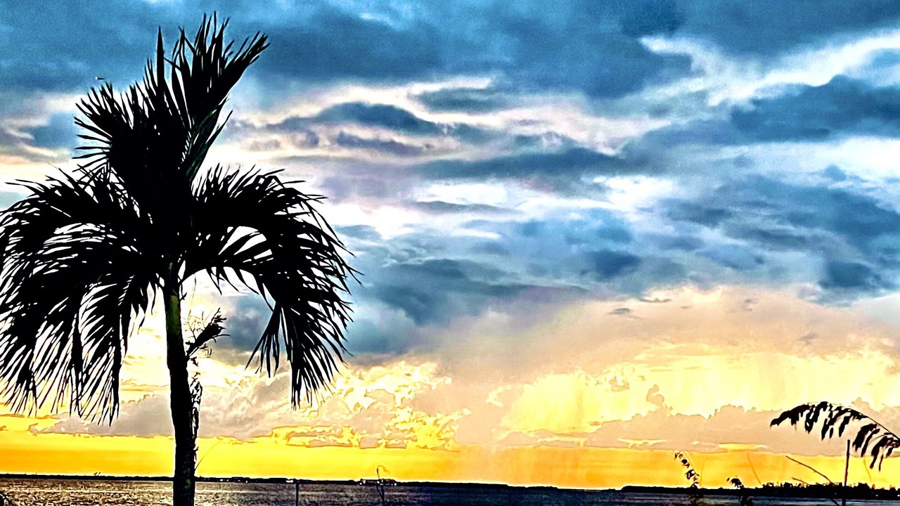 Photo of Others in Caloosahatchee