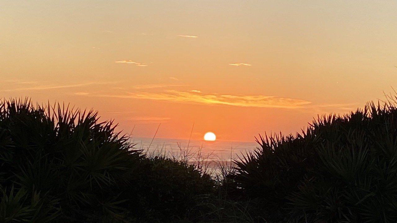Photo of Others in Ormond Beach