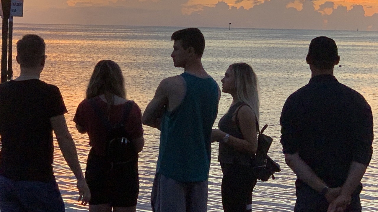 Photo of Outdoor in Port Richey
