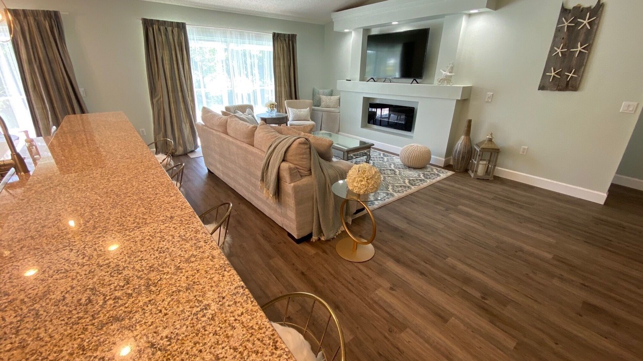 Photo of Livingroom in Port Richey
