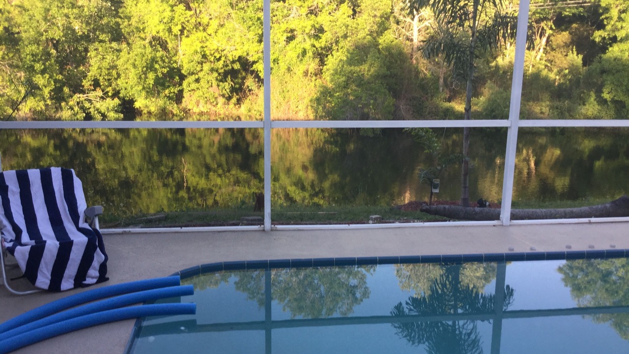Photo of Outdoor in Port Richey
