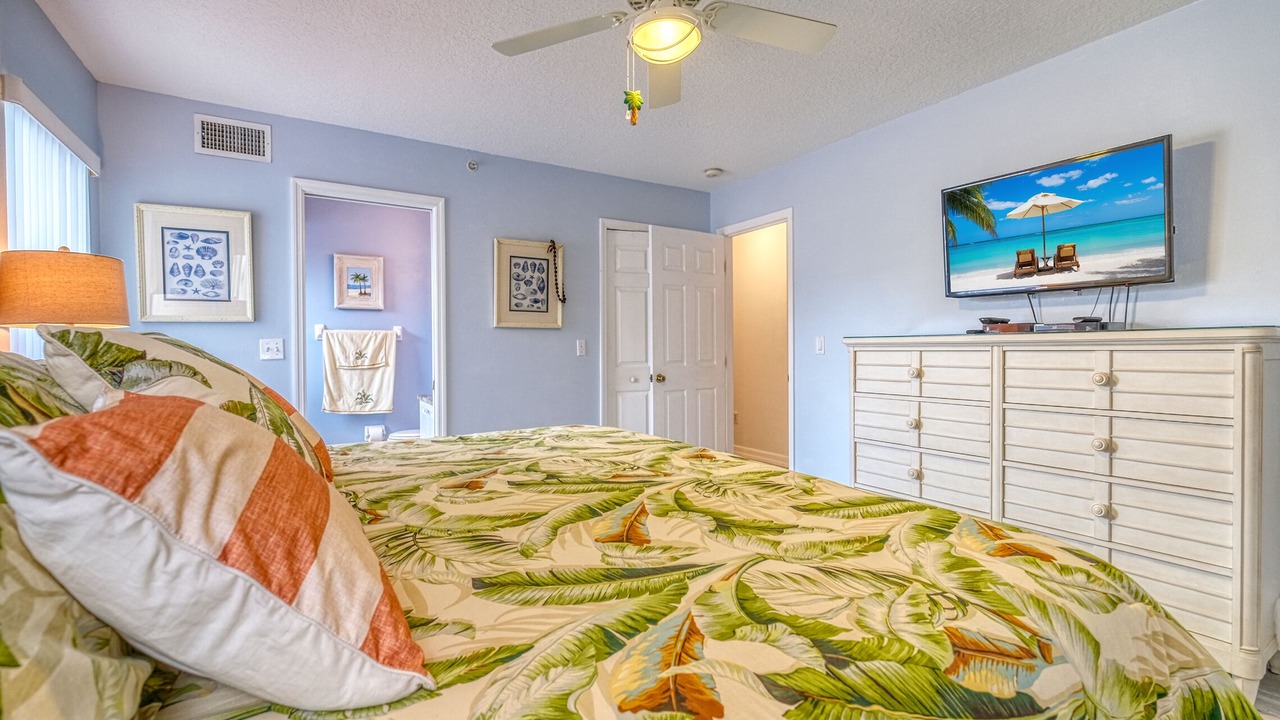 Photo of Others in Indian Rocks Beach