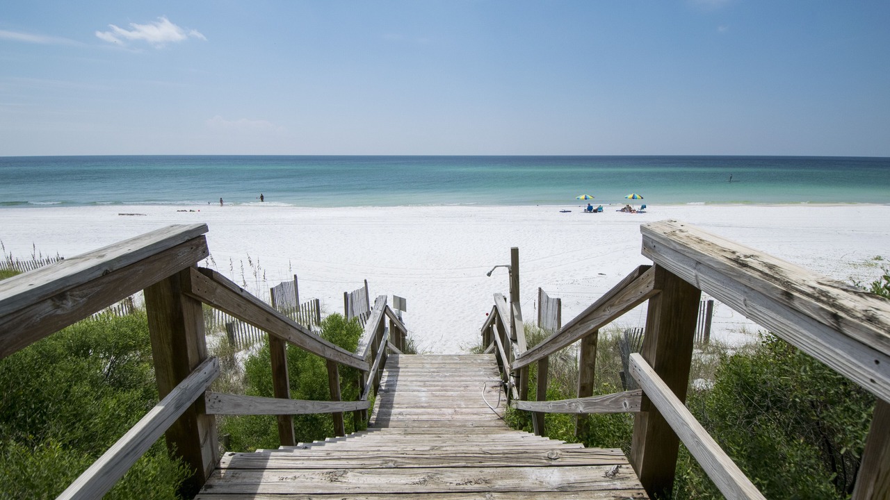 Photo of Others in Dune Allen Beach