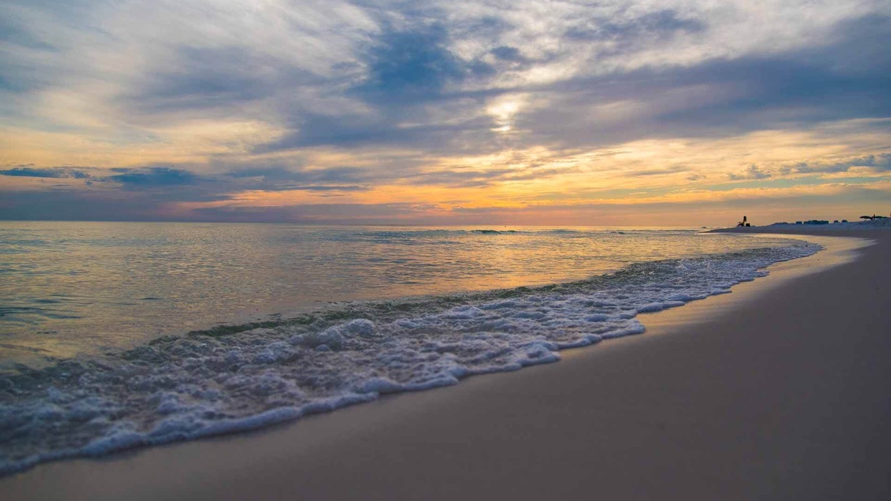 Photo of Others in Dune Allen Beach