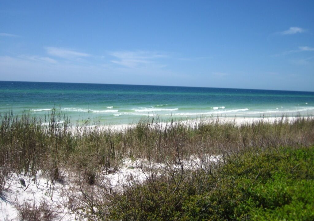 Photo of Others in Dune Allen Beach