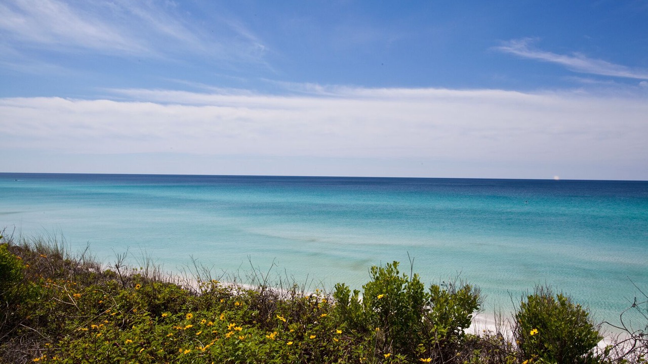 Photo of Others in Santa Rosa Beach