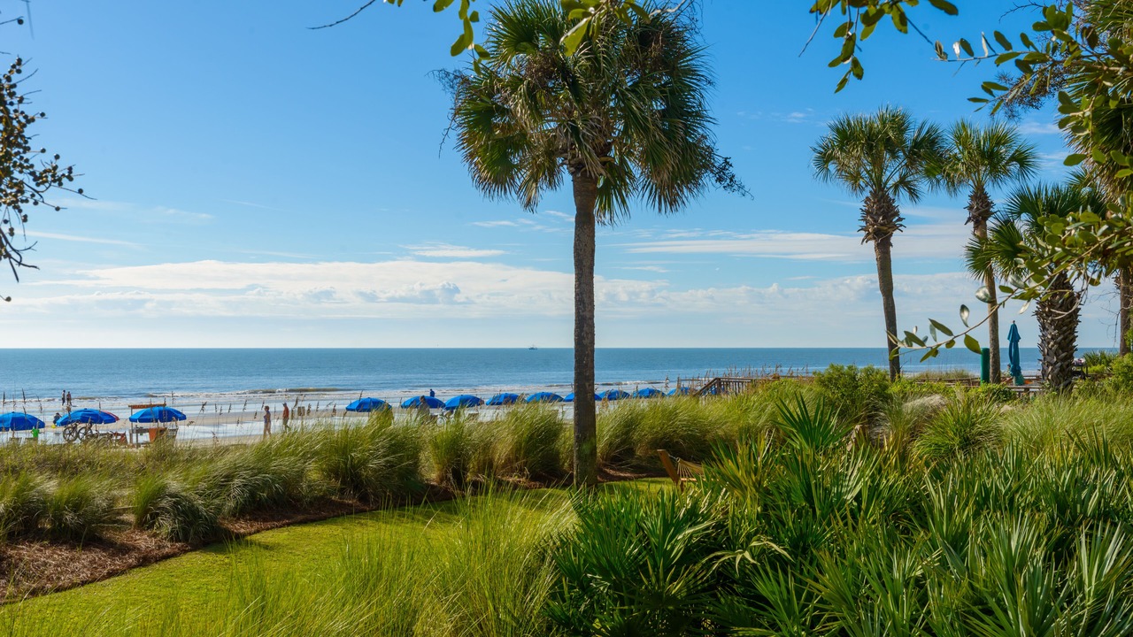 Photo of Others in Palmetto Dunes