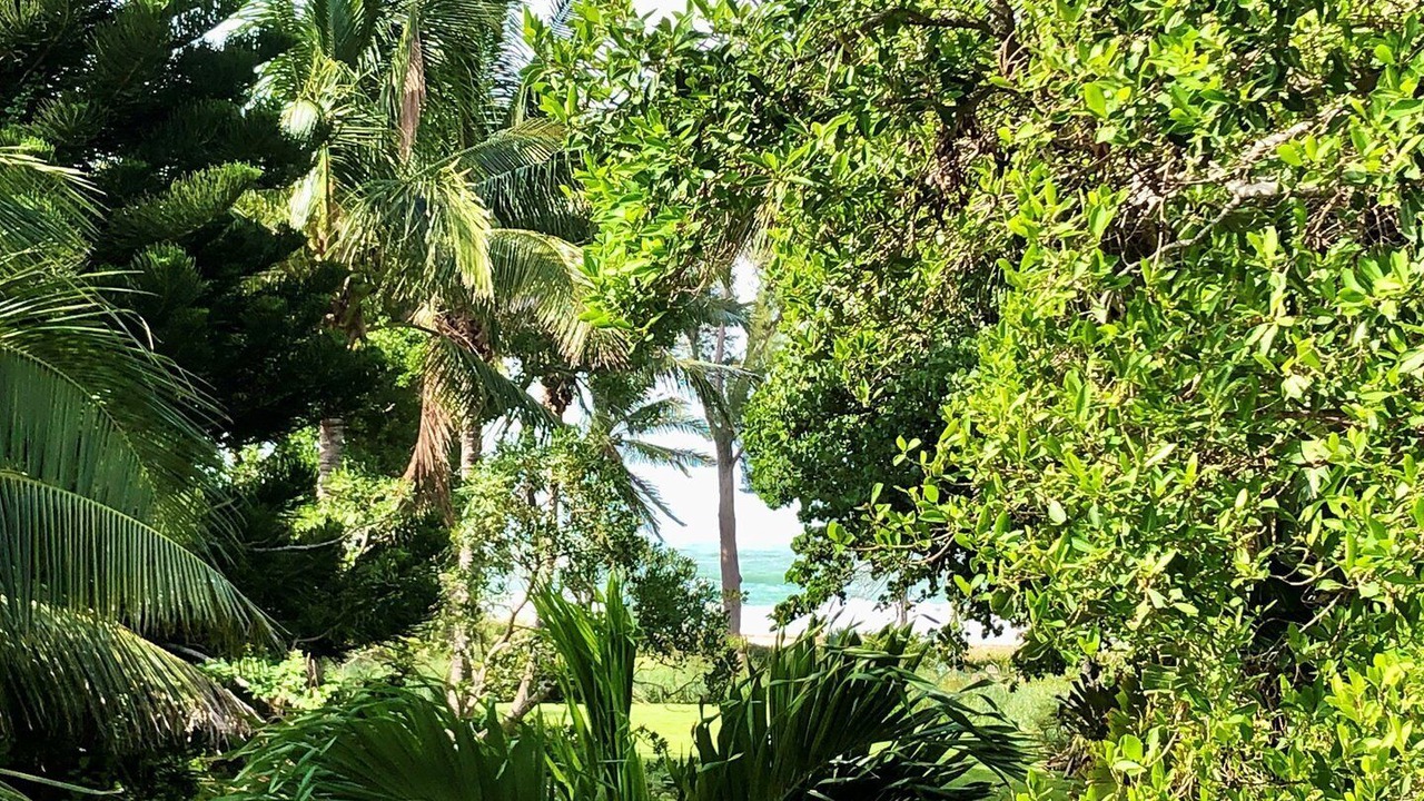 Photo of Outdoor in Anna Maria