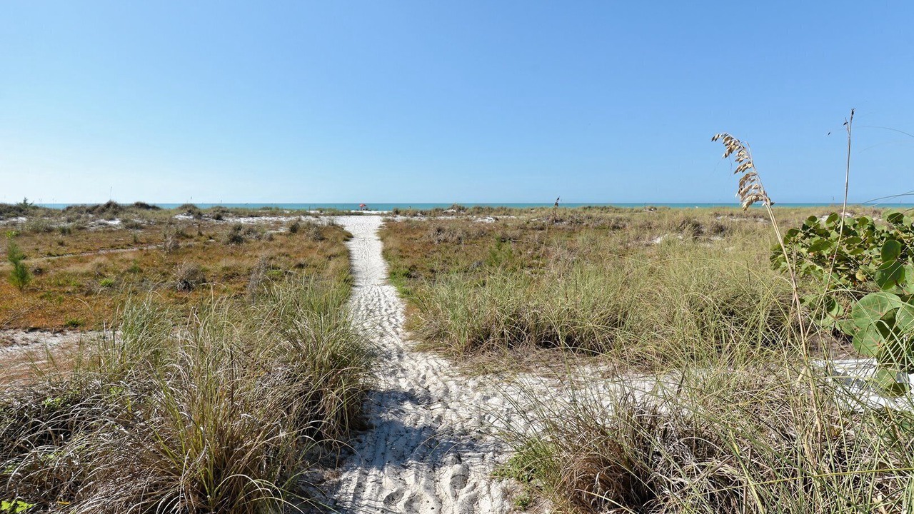 Photo of Others in Anna Maria