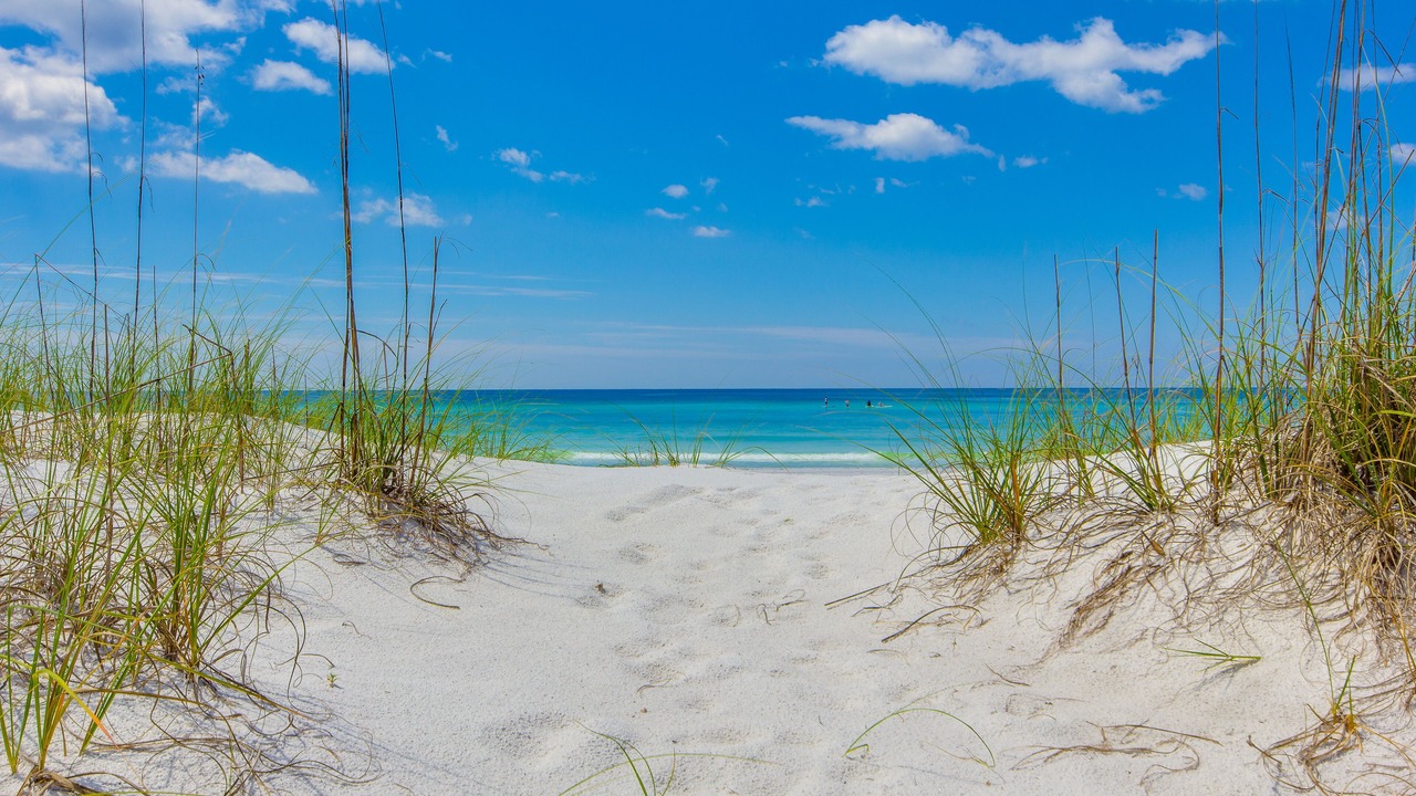 Photo of Others in Seagrove Beach