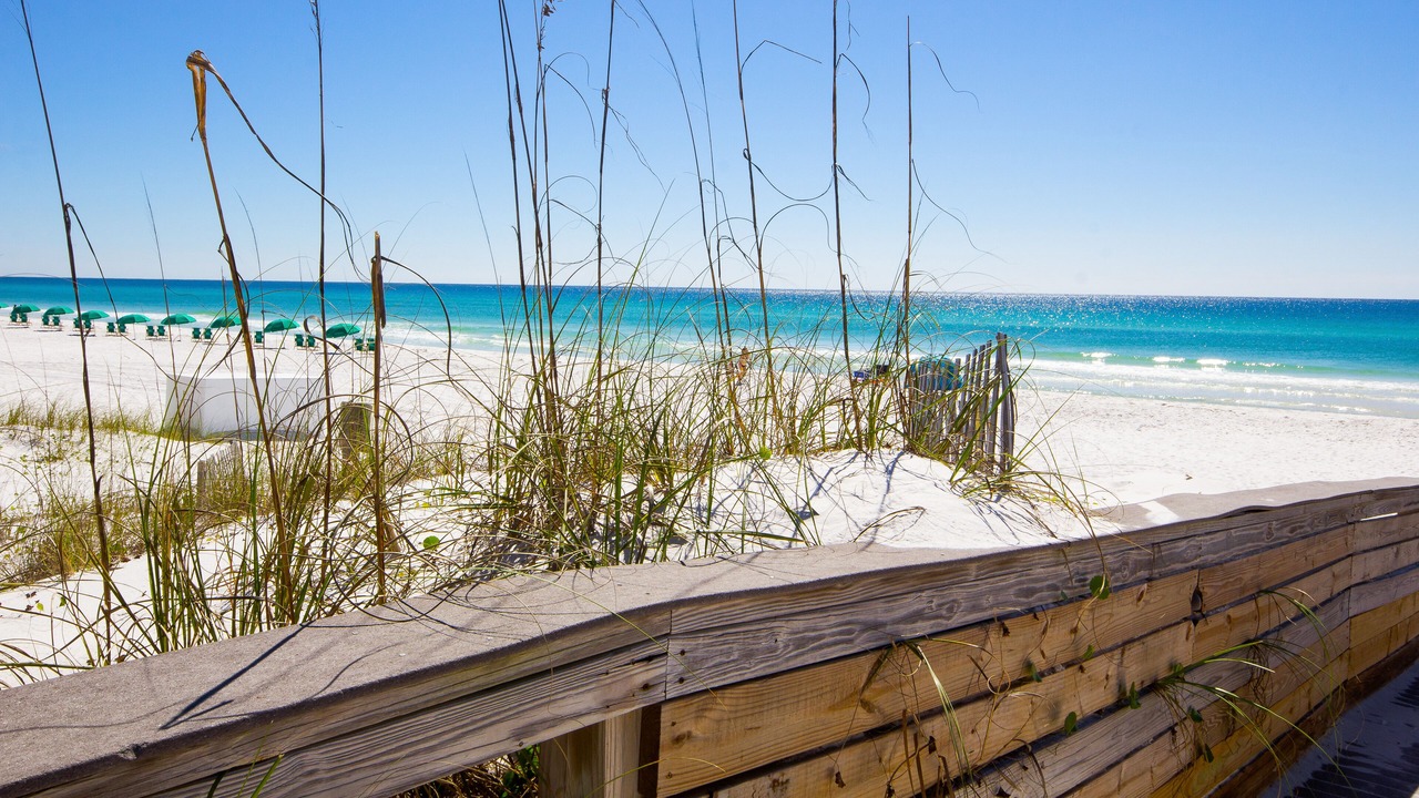 Photo of Others in Seagrove Beach