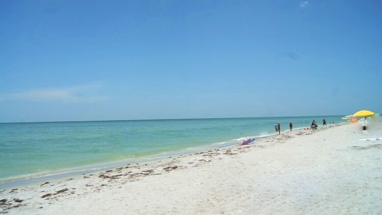 Photo of Others in Sanibel