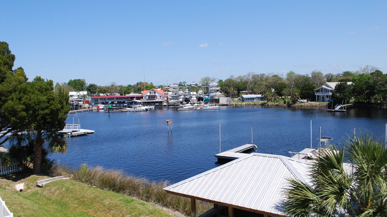 Photo of Others in Steinhatchee