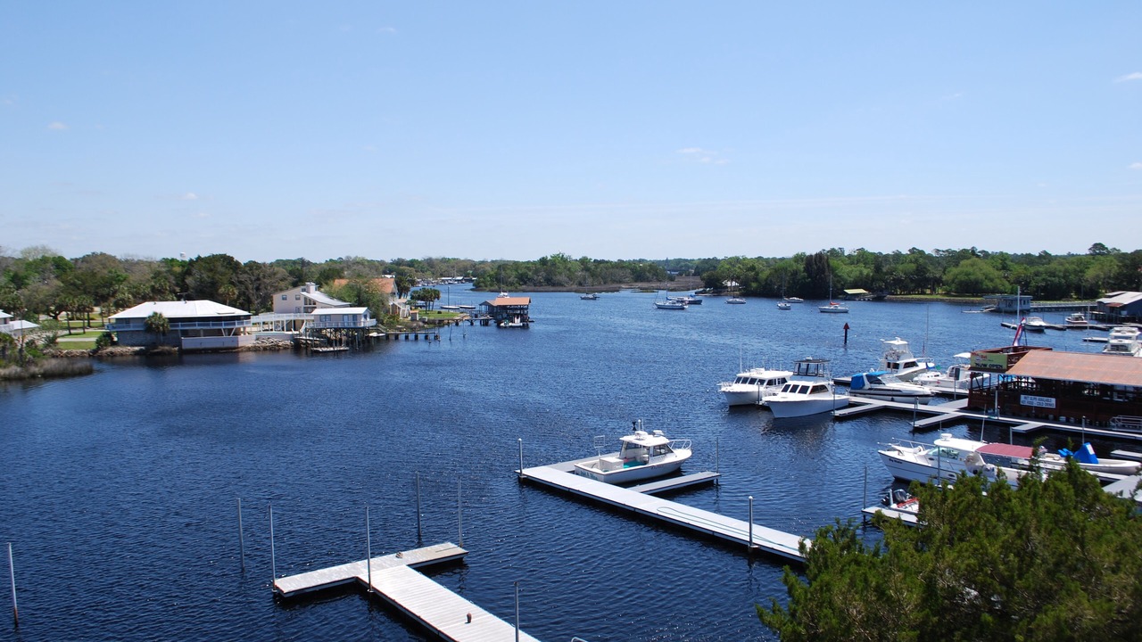 Photo of Others in Steinhatchee