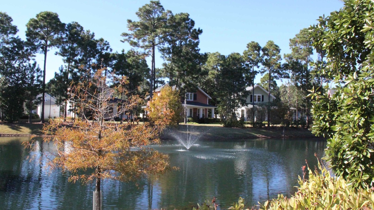 Photo of Others in Laurel Grove