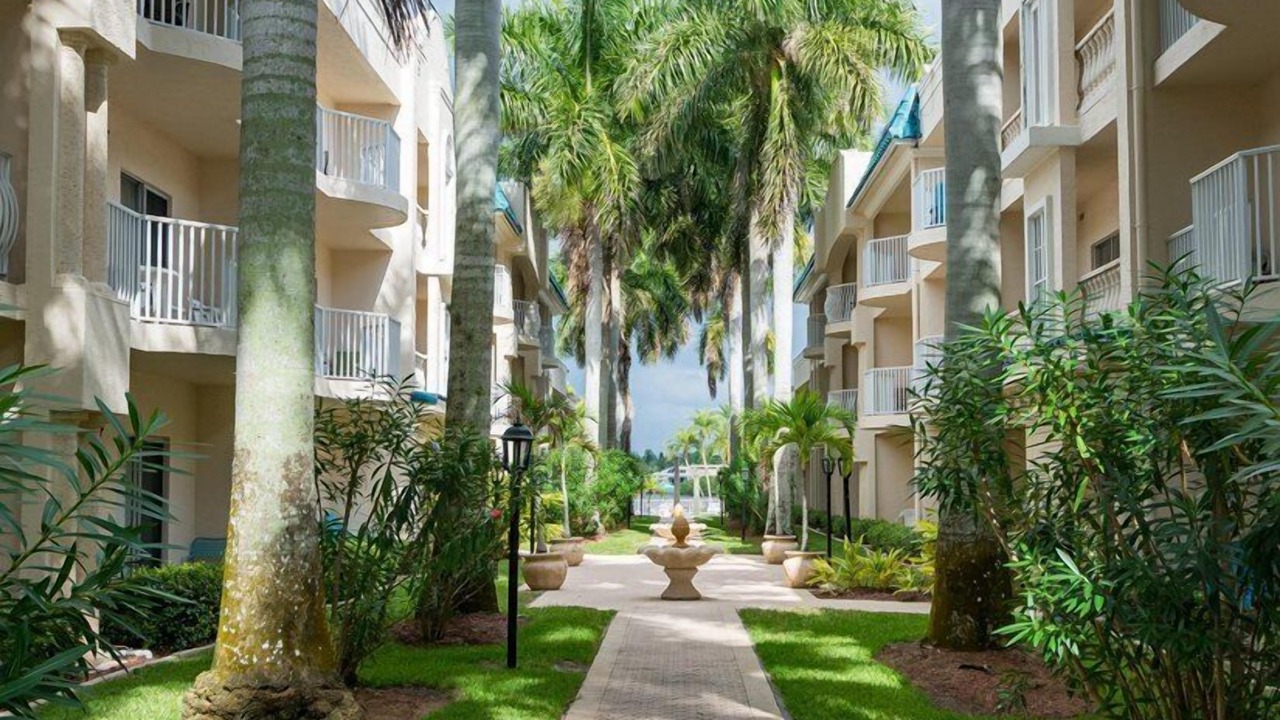 Photo of Outdoor in Siesta Key